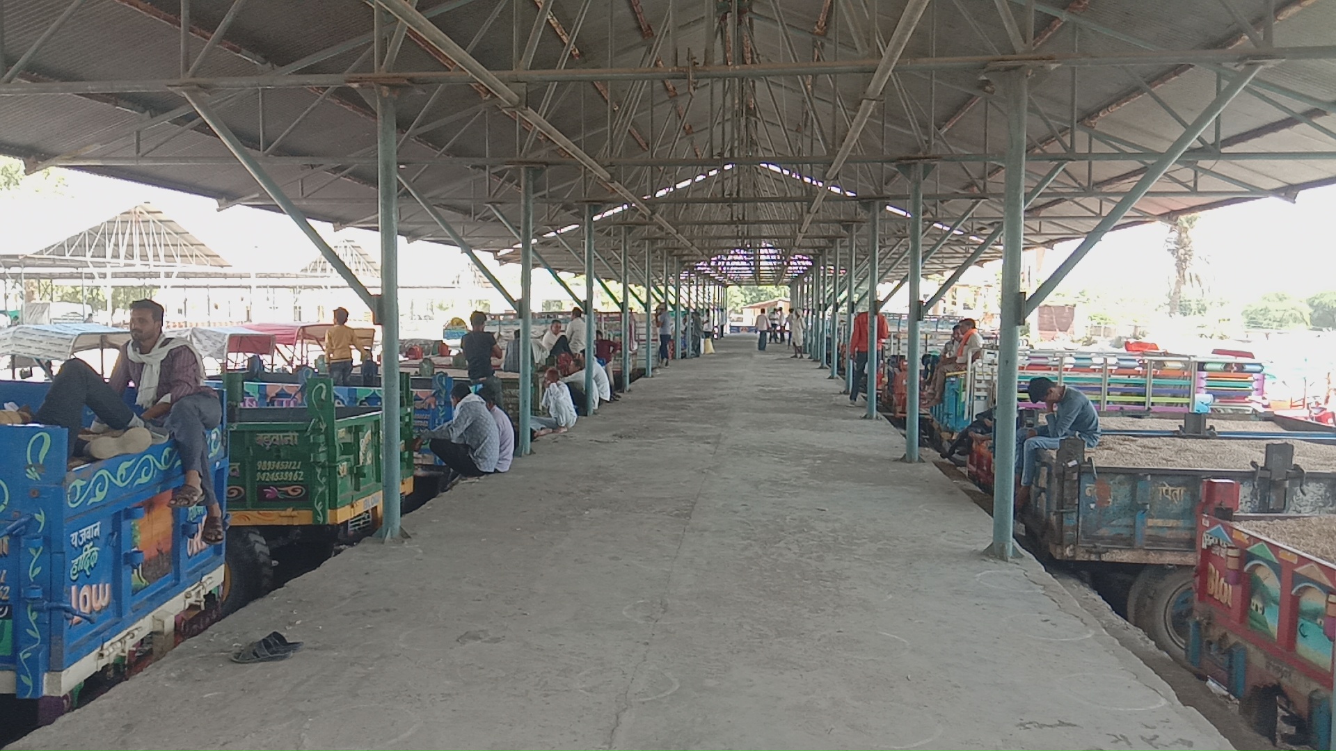 डालर ने बदली किसानों की किस्मत