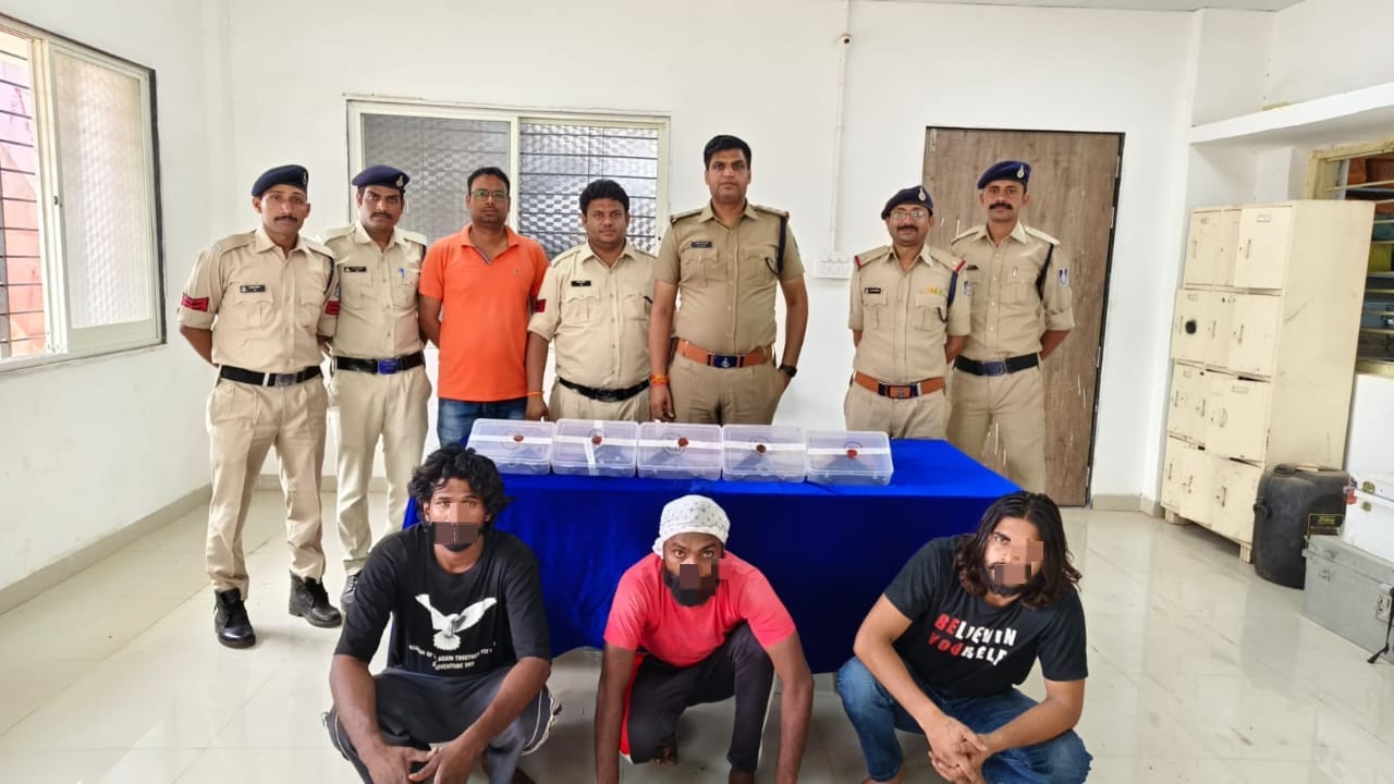 थाना सेंधवा ग्रामीण पुलिस द्वारा हरियाणा एवं चंडीगढ़ के दो गैंगस्टर को किया अवैध हथियार खरीदते समय किया गिरफ्तार