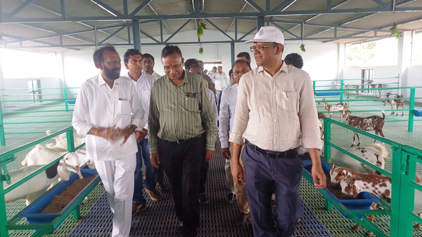 राष्ट्रीय पशुधन मिशन योजना से लाभान्वित संजय चौहान दे रहे प्रधानमंत्री एवं मुख्यमंत्री जी को धन्यवाद