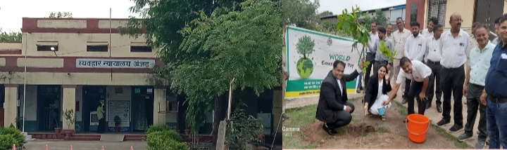 अंजड़ न्यायालय परिसर में न्यायधीश नीरज कुमार सोनी एवं बार एसोसिएशन के द्वारा व्रक्षा रोपण किया गया कार्यक्रम में बार एसोसिएशन के सदस्य न्यायालय स्टाफ रहा मोजूद