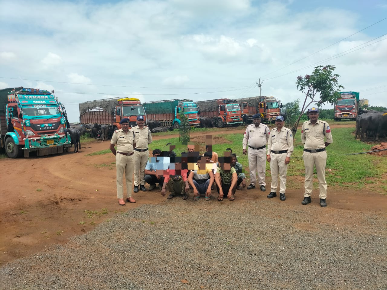 थाना नागलवाड़ी पुलिस ने अवैध पशुओ का परिवहन करने वाले आरोपियों को पकड़ा, व उनके  कब्जे से 110 नग अवैध पशु (भैस) एवं 06 वाहन किये जप्त