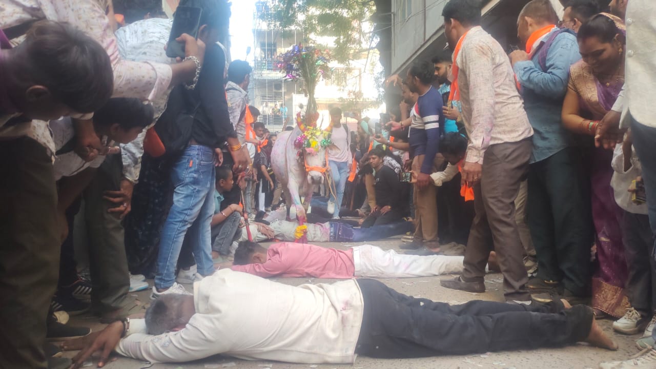 अलीराजपुर सागर वंसिया माली समाज ने गोवर्धन पूजा  गाय गोरी की पूजा कर बड़े धूमधाम से पर्व मनाया