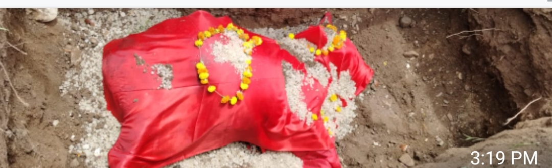 कुक्षी में विद्युत विभाग की लापर वाही  से  नगर परिषद के सामने करंट लगने से गो माता की दुःखद मृत्यु, बजरंग दल ने जताया आक्रोश किया अंतिम संस्कार