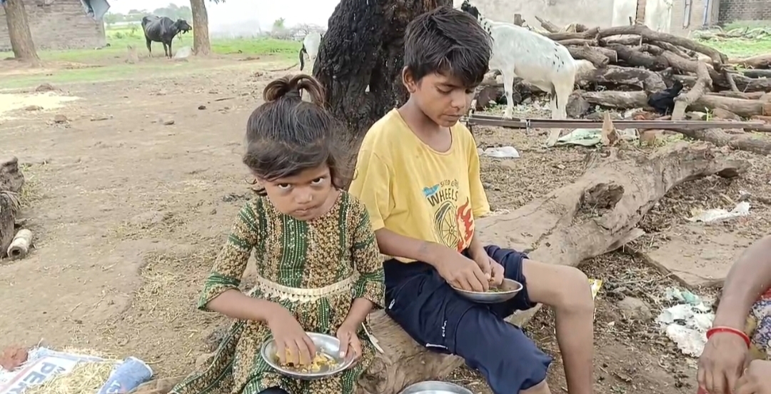 कुक्षी लोहारी पंचायत के जवाब दारो की लापरवाही से  विधवा गोरा बाई सहित 4 लोगो का परिवार खुले आसमान के नीचे बारिश में  नरकीय जीवन जीने  को मजबूर ज़वाब दारो नें  फेरी आँखे